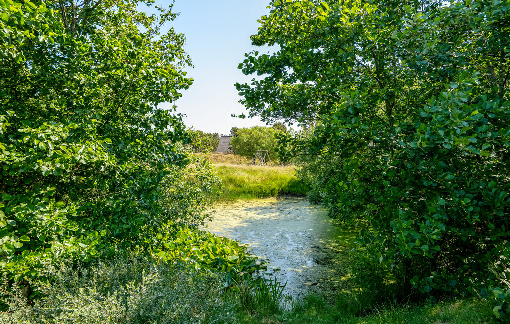 Feriehuse - Fanø Bad , Danmark - M21448 17