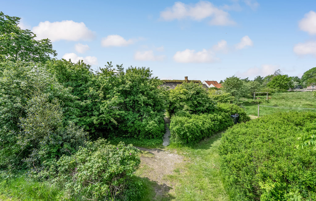 Feriehuse - Sønderho , Danmark - M21412 15