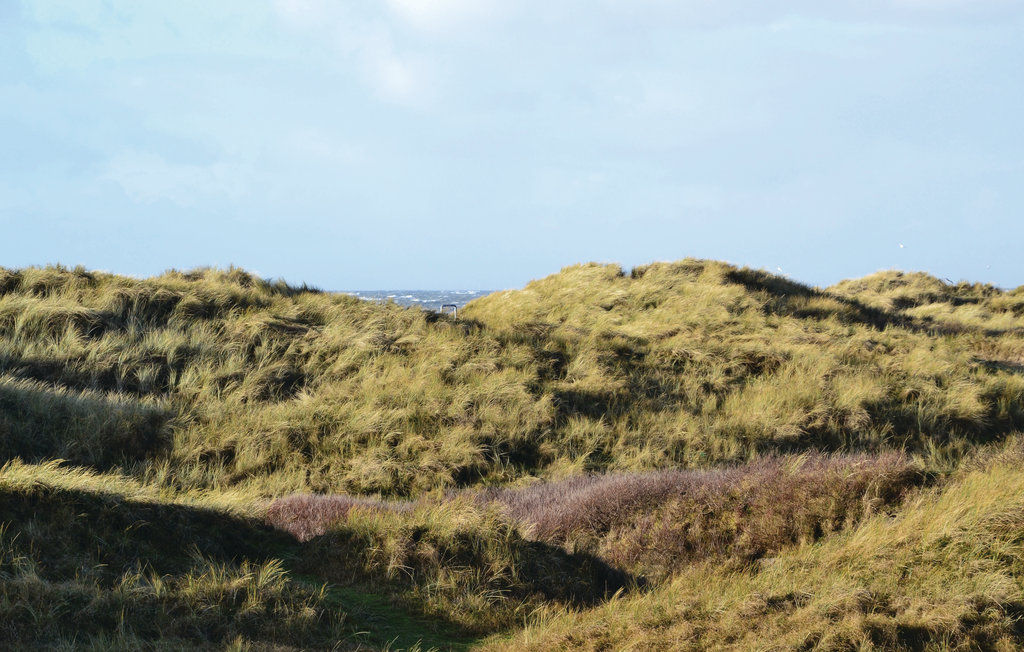 Ferienhaus - Rindby , Dänemark - M21227 5