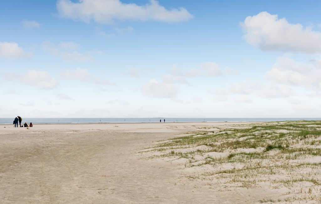 Ferienwohnung - Fanø Bad , Dänemark - M21601 15