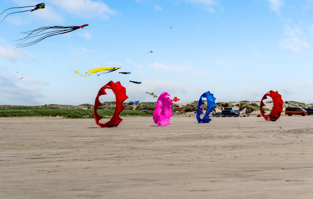 Ferienwohnung - Fanø Bad , Dänemark - M21609 11