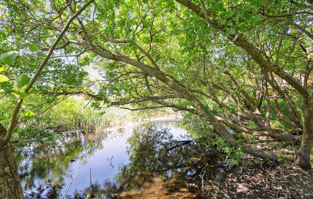 Feriehuse - Rindby Strand , Danmark - M21617 11