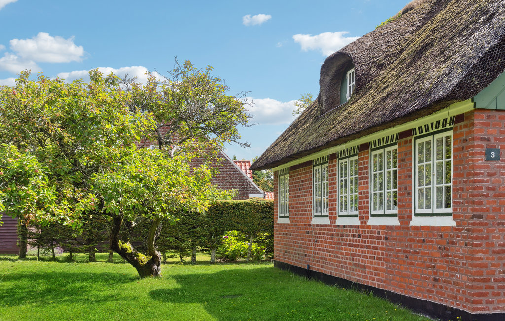 Ferienhaus - Sønderho , Dänemark - M21093 11