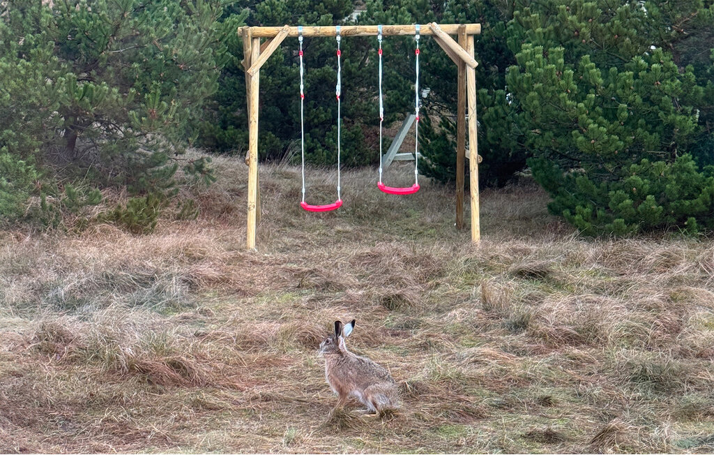 Feriehuse - Nyby , Danmark - M21062 21