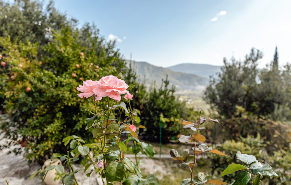 Feriehus - Herceg Novi-Sasovici , Montenegro - MNH122 19