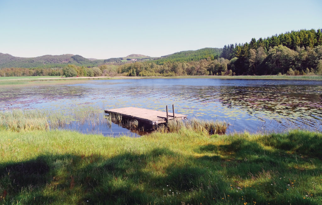 Semesterlägenhet - Vassvik , Norge - N15187 10