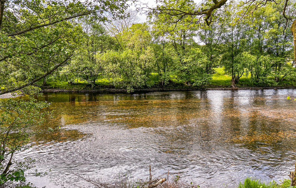 Ferienhaus - Hauge i Dalane , Norwegen - N15321 8