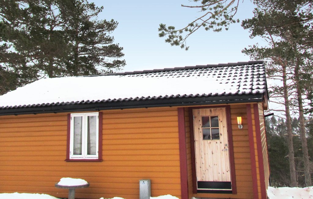 Feriehuse - Giljastølen , Norge - N15316 5