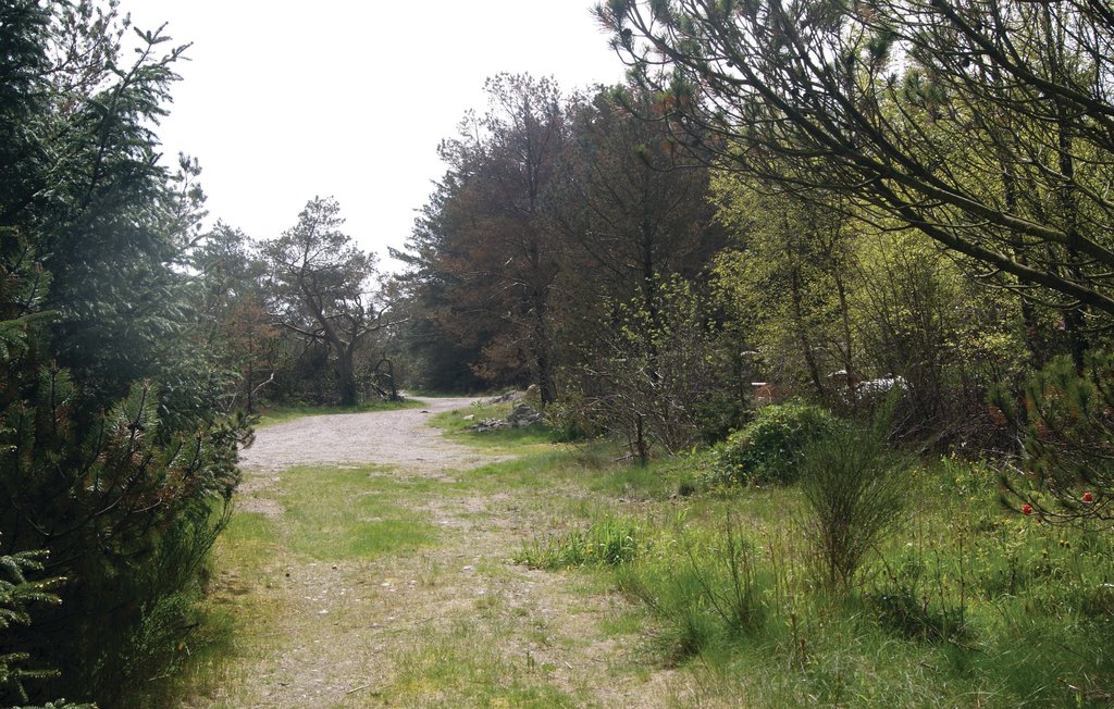 Bild 15