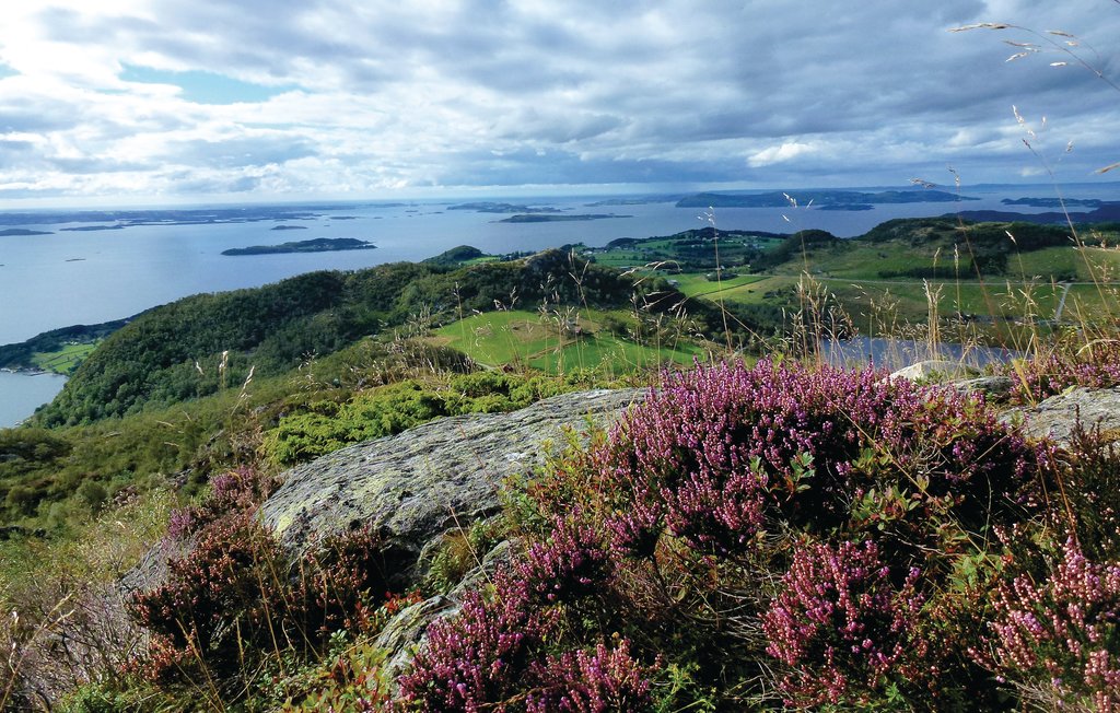 Feriehuse - Heia/Ryfylke , Norge - N16338 19