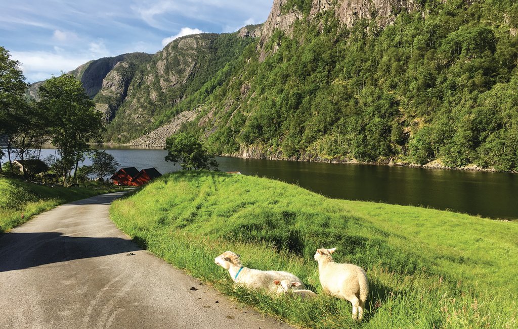 Ferienhaus - Erfjord/Suldal , Norwegen - N16137 8
