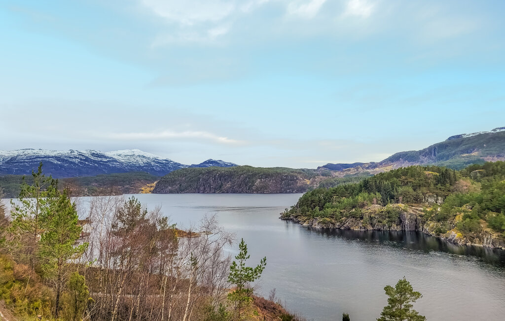 Domy wakacyjne - Jelsa/Suldal , Norwegia - N16368 5