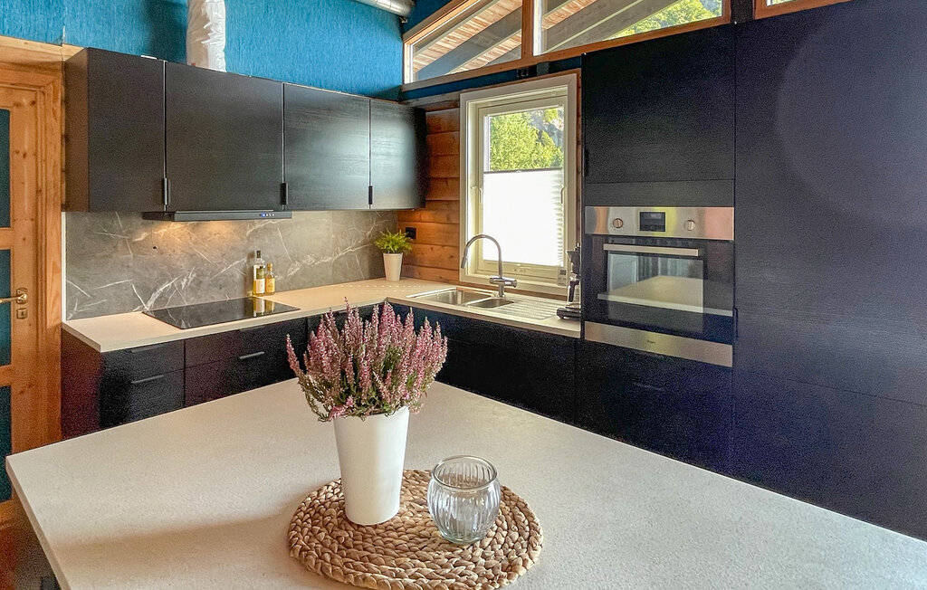 Domy wakacyjne - Suldal , Norwegia - N16384 6