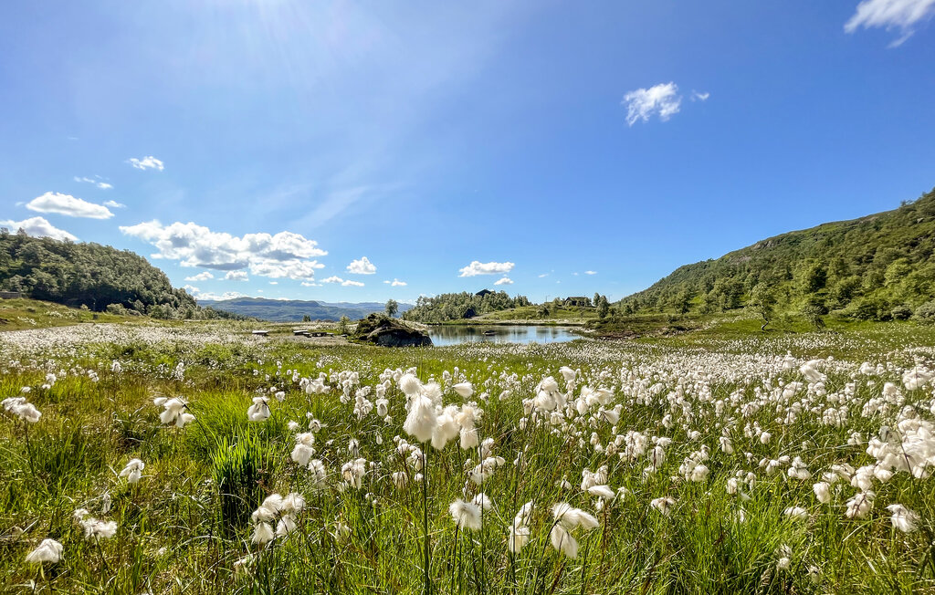 Feriehuse - Fjellbergsskardet/Gullingen , Norge - N16297 20
