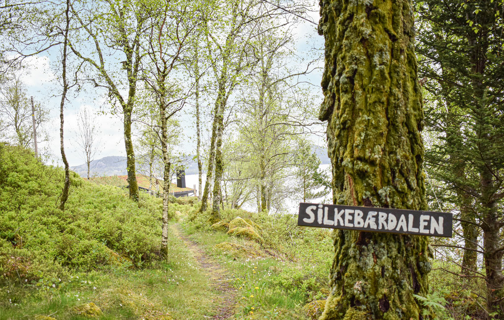 Feriehus - Skjold/Vindafjord , Norge - N17455 21