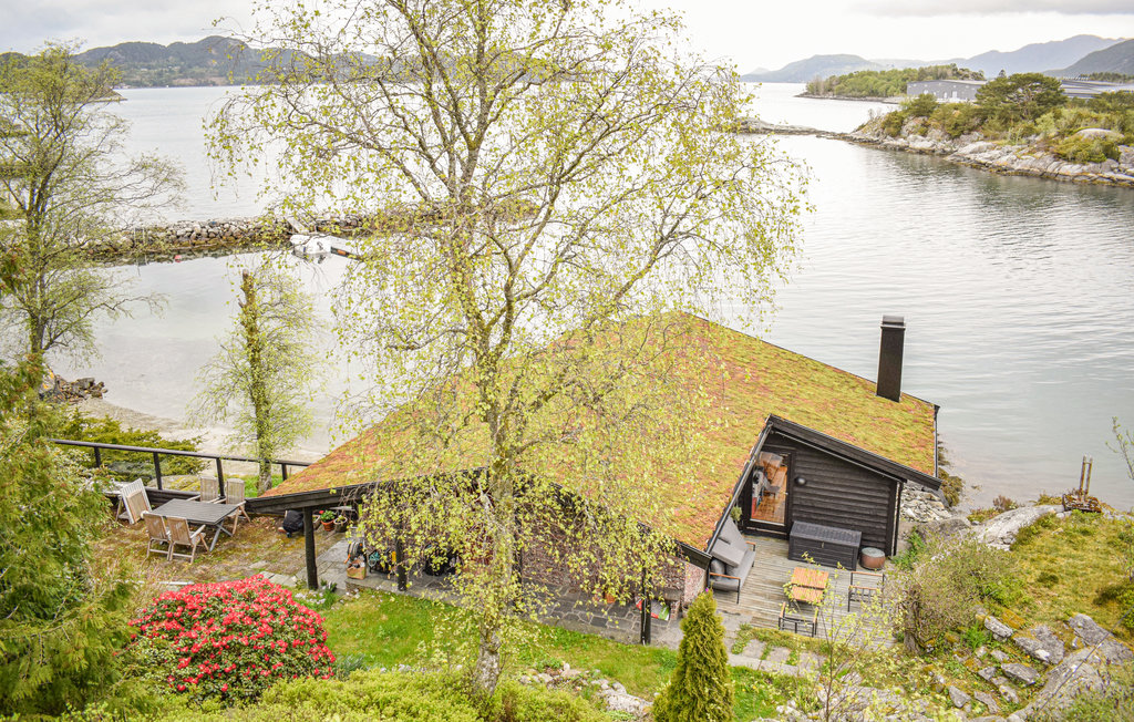 Feriehus - Skjold/Vindafjord , Norge - N17455 1
