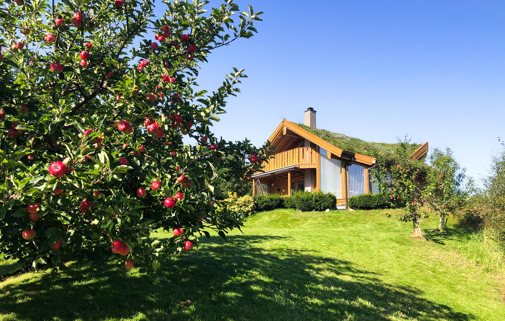 Semesterhus - Bjoa/Vindafjord , Norge - N17420 10