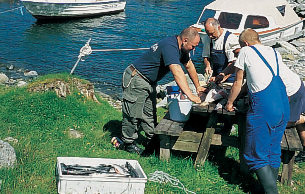 Feriehuse - Ølensvåg , Norge - N17169 17
