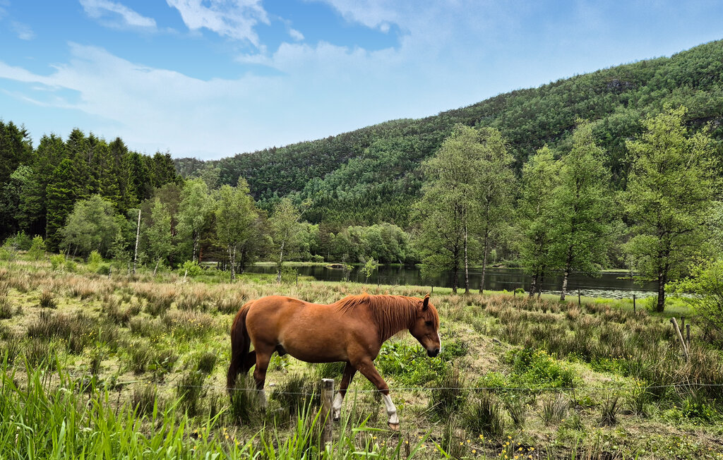 Semesterhus - Nedre Vats , Norge - N17426 17