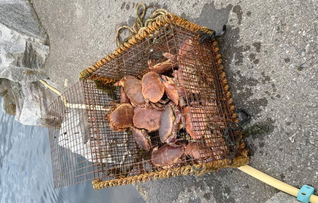 Feriehus - Ølensvåg/Vindafjord , Norge - N17409 27