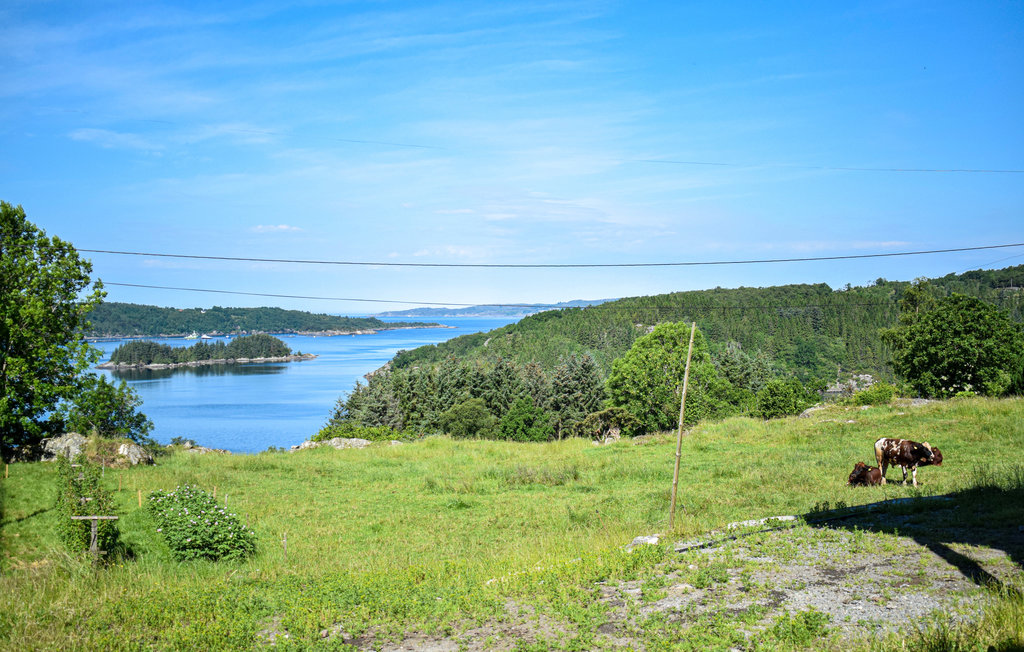 Feriehuse - Fitjar/Sunnhordaland , Norge - N18661 2