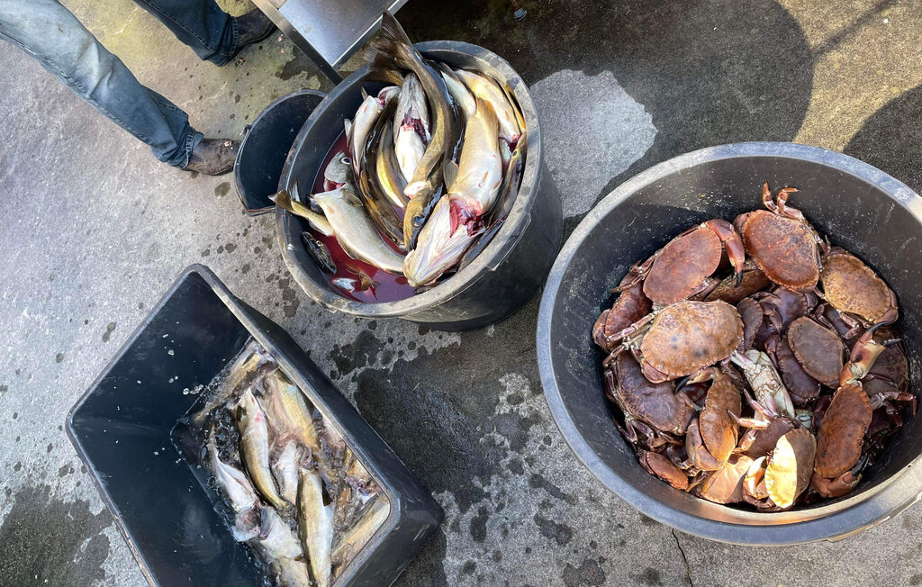 Ferienhaus - Bømlo , Norwegen - N18594 14
