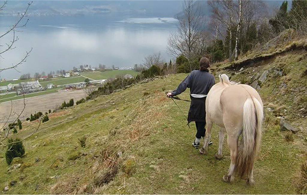 Lejlighed - Rosendal , Norge - N19217 19