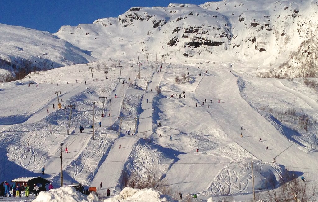 Feriehuse - Kvamskogen , Norge - N19676 11