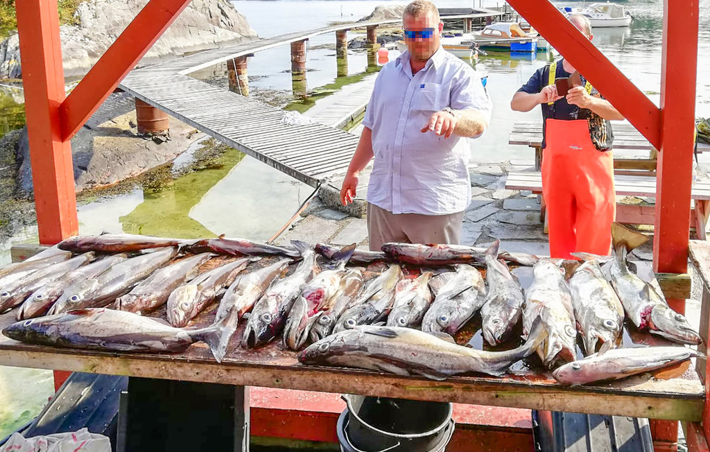 Feriehuse - Gjermundshamn , Norge - N19604 30