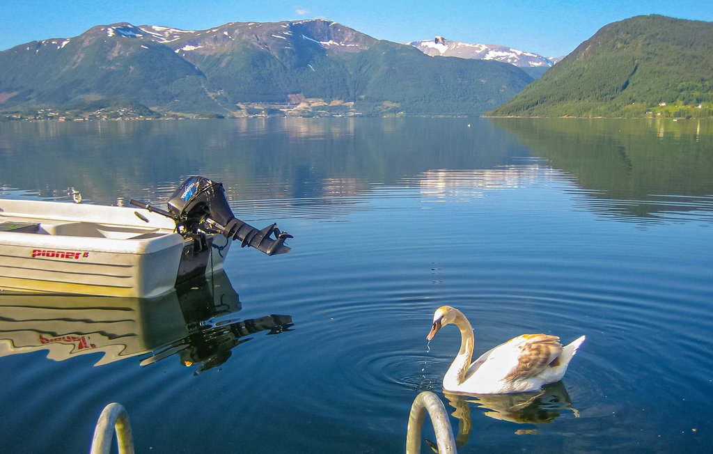 Ferienwohnung - Rosendal , Norwegen - N19157 21