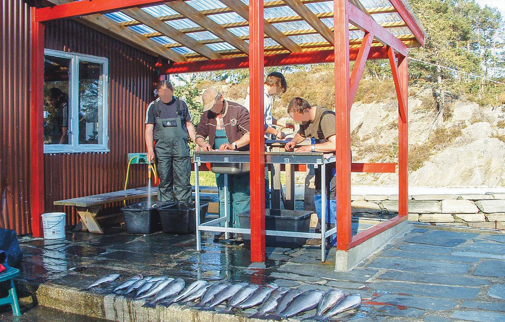 Feriehuse - Gjermundshamn , Norge - N19604 9