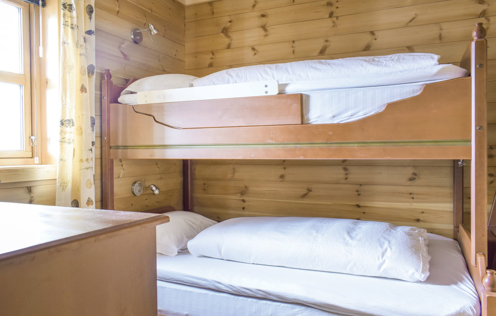 Ferienhaus - Røldal/Odda , Norwegen - N19420 19