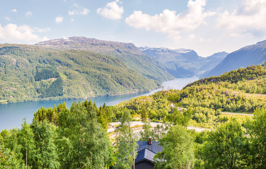 Ferienhaus - Røldal/Odda , Norwegen - N19420 16
