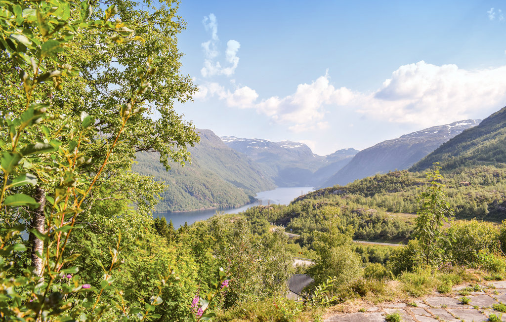 Ferienhaus - Røldal/Odda , Norwegen - N19420 15
