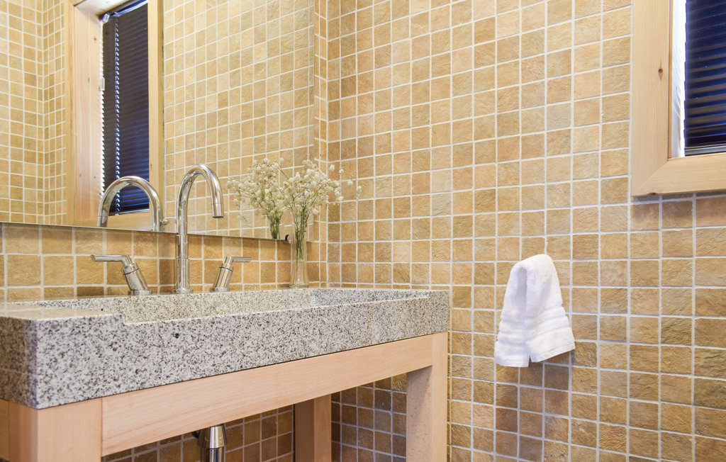 Ferienhaus - Røldal/Odda , Norwegen - N19420 24