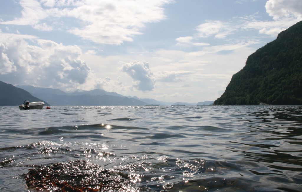 Feriehuse - Ålvik , Norge - N19171 11