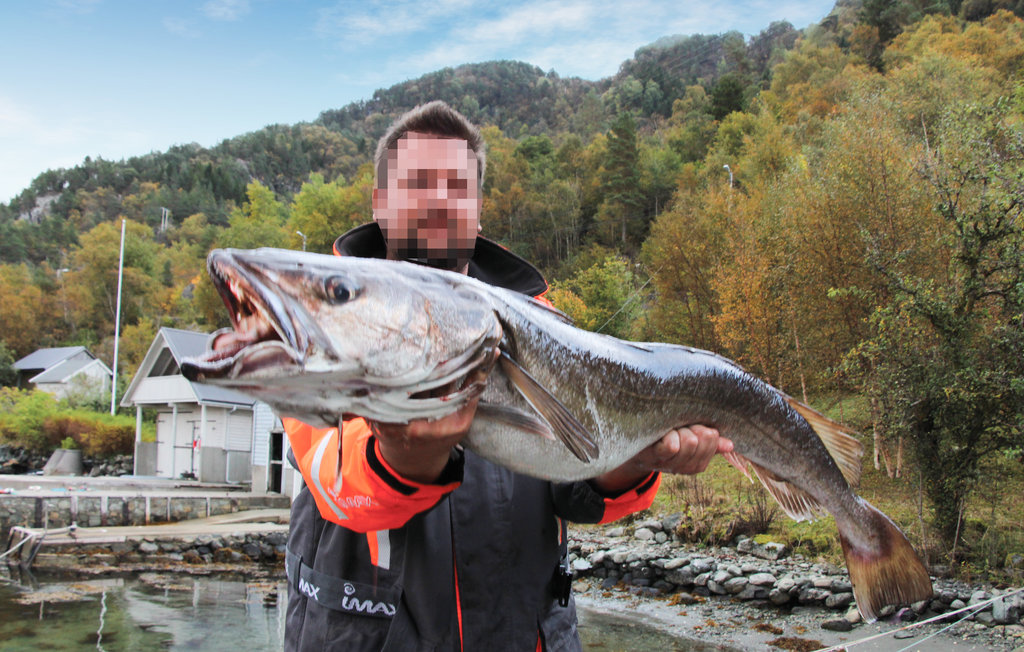 Feriehuse - Nordtveitgrend/Bjørnafjorden , Norge - N19327 23