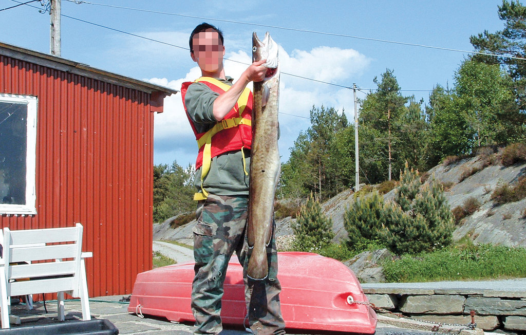 Feriehuse - Gjermundshamn , Norge - N19604 23