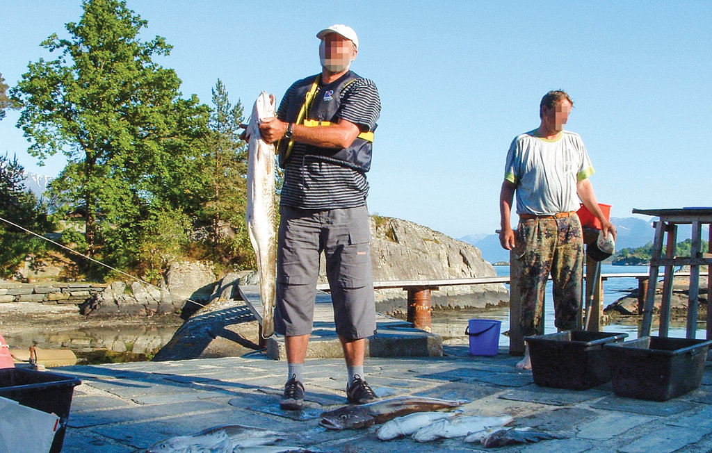 Feriehuse - Gjermundshamn , Norge - N19604 24