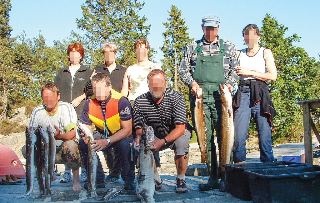 Feriehuse - Gjermundshamn , Norge - N19604 28
