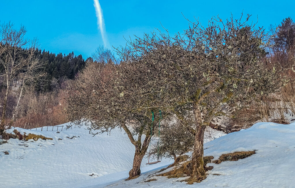 Ferienhaus - Strandebarm/Hardanger , Norwegen - N19469 13