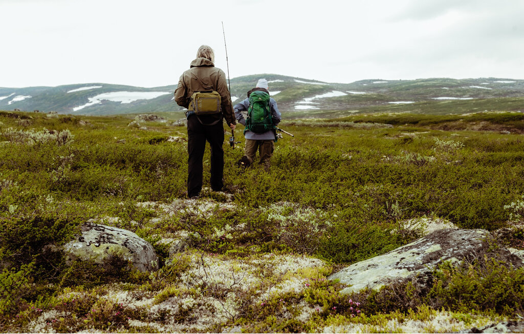 Ferienhaus - Hardangervidda , Norwegen - N19654 9
