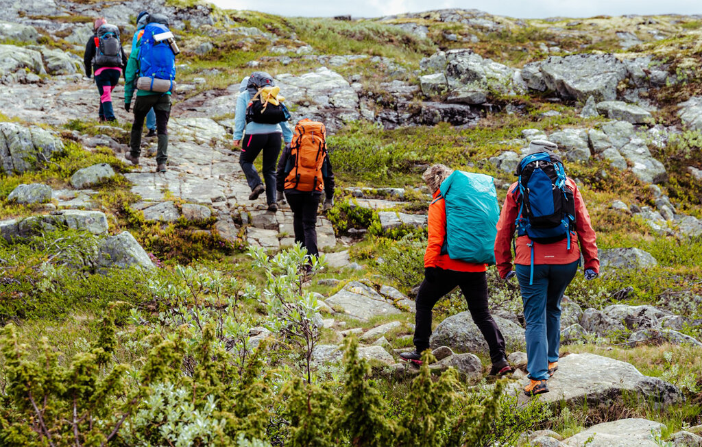 Ferienhaus - Hardangervidda , Norwegen - N19654 15
