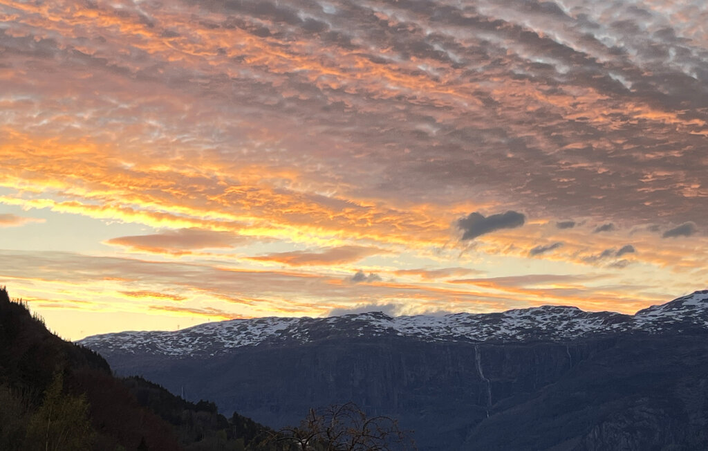 Feriehuse - Utne , Norge - N19259 23