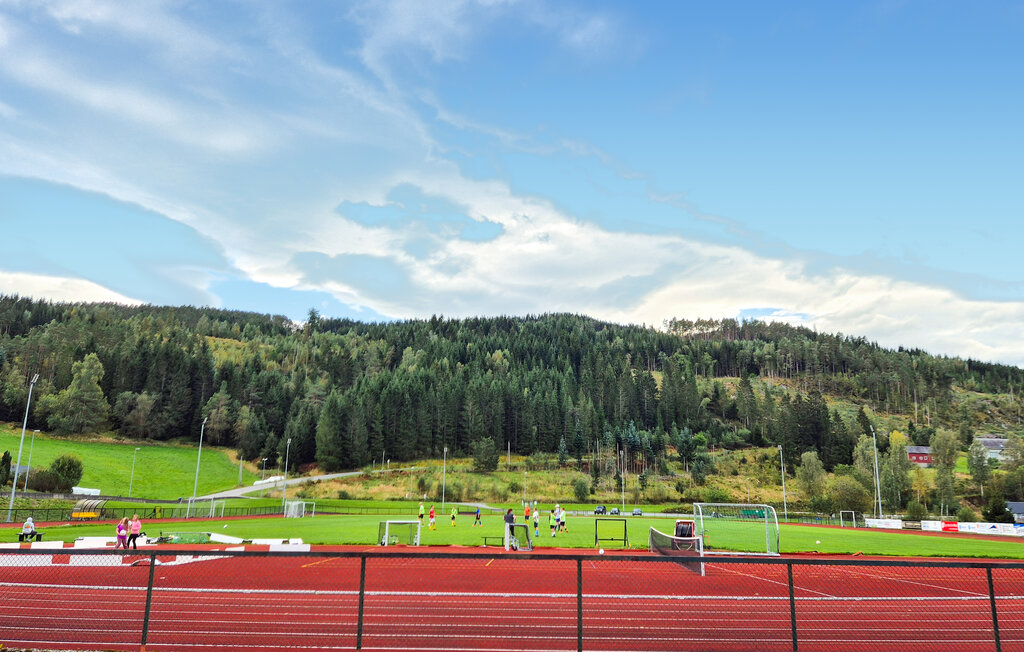 Ferienwohnung - Ulvik , Norwegen - N19662 19