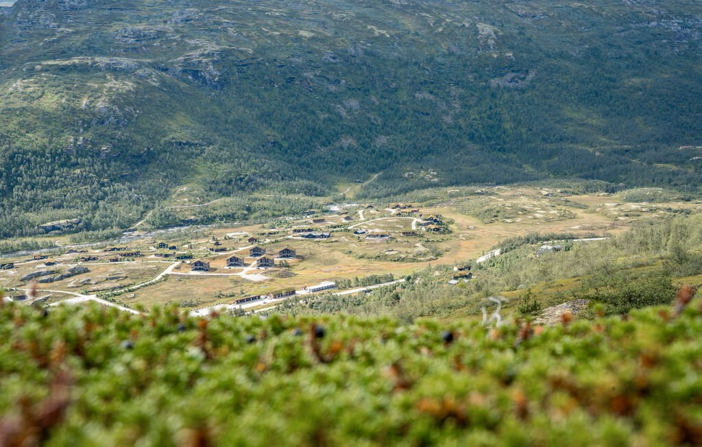 Feriehus - Maurset/Eidfjord , Norge - N19489 30