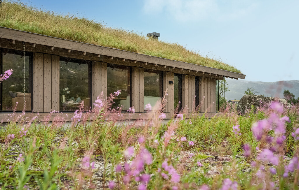 Feriehus - Maurset/Eidfjord , Norge - N19489 15