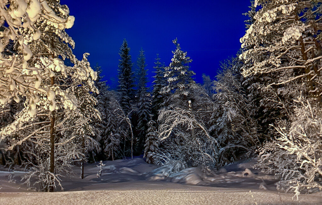 Feriehus - Maurset/Eidfjord , Norge - N19489 39