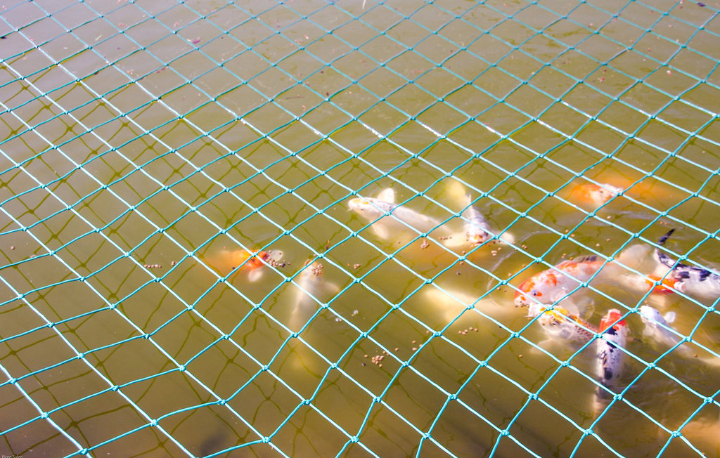 Feriehuse - Bruvik , Norge - N20434 26