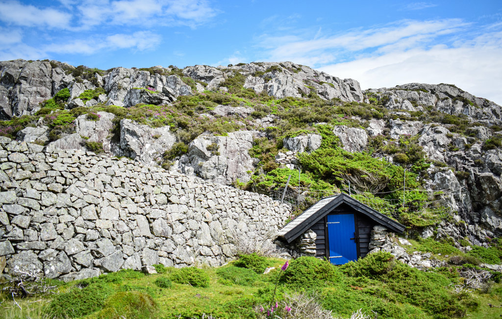 Feriehus - Austevoll , Norge - N20369 21